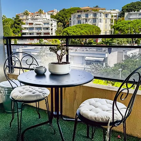 Terrasse-pointe Croisette-palm A0b214 * カンヌ